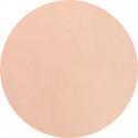 Dipping & Acrylic Color Powder | Bulk Bag of 1kg (2.2 lbs) | NUDE Color: N027